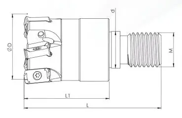 17 mm - Z=2 ✓ Einschraubfräskopf (Modular), Messerkopf, Planfräser für LOGU0303 KYCR mit IK