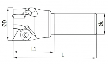 35 x 100 mm ✓ Schaftfräser für TPKN1603 Wendeplatten, Z=2