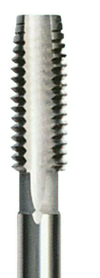 384562_5