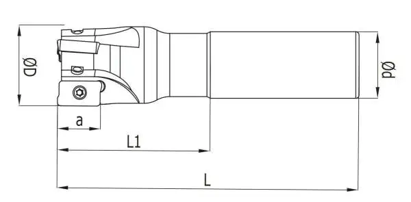 35 x 100 - d2=25 mm Schaftfräser für APKT1604 Wendeplatten Z=3
