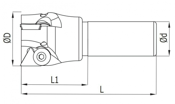 35 x 100 mm ✓ Schaftfräser für TPKN1603 Wendeplatten, Z=2